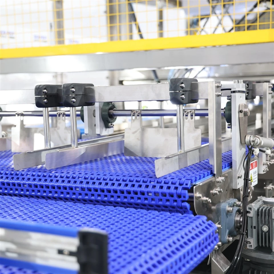 biscuit production line